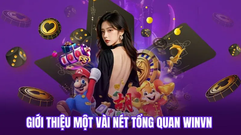 Giới thiệu một vài nét tổng quan WinVN