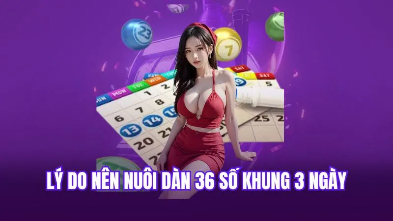 Lý do nên nuôi dàn 36 số khung 3 ngày