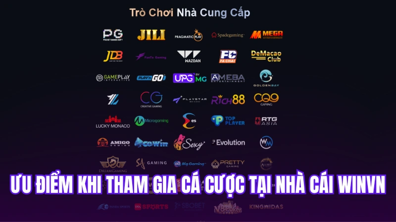 Ưu điểm khi tham gia cá cược tại nhà cái Winvn